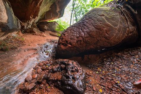 naka cave thailand|Explore Naka Cave